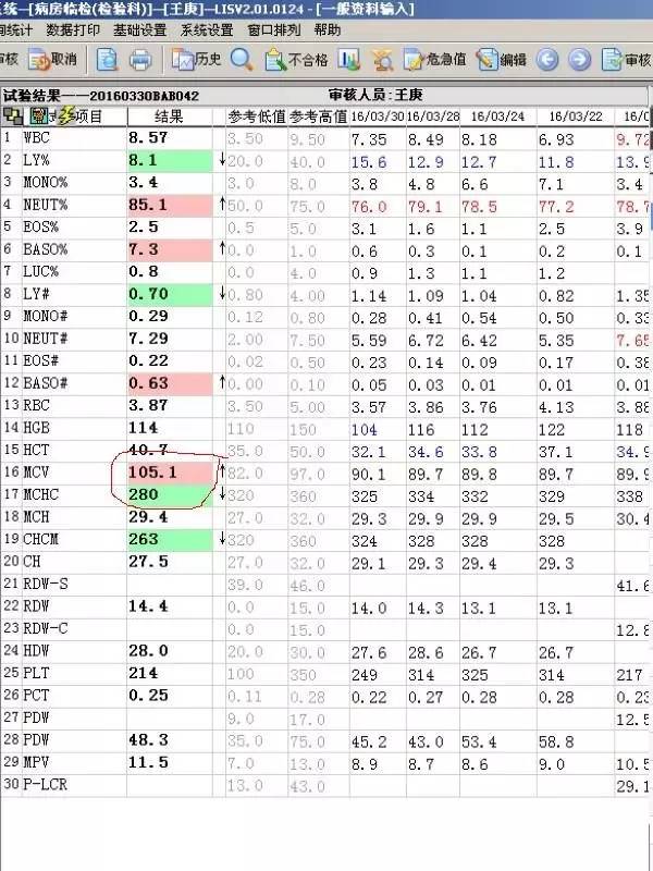 2024澳门开奖历史记录结果|文章释义解释落实