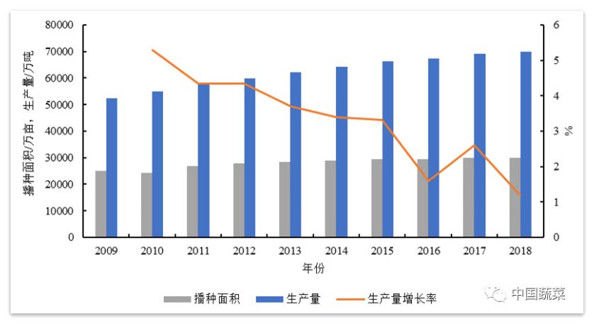 广东外运责任有限公司，历史、现状与未来展望