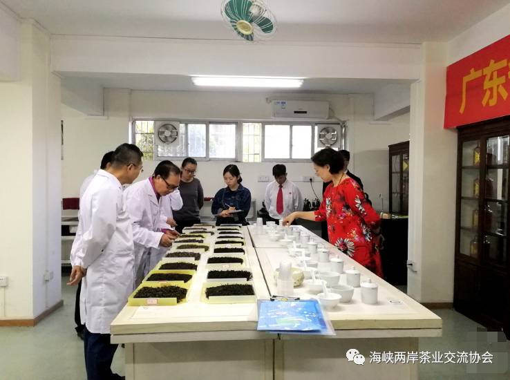 广东潭农茶叶有限公司，传承与创新中的茶叶典范