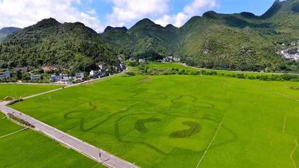 江苏巨州科技，引领科技创新的先锋力量