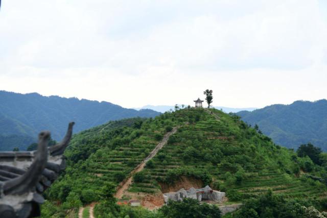 广东君潮建筑有限公司，探索卓越建筑的旅程